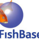 fishbase